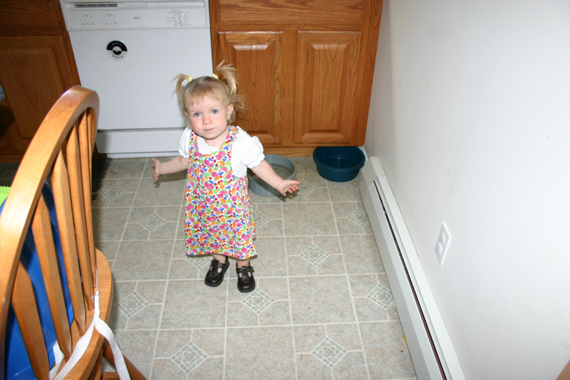 Picture 6569