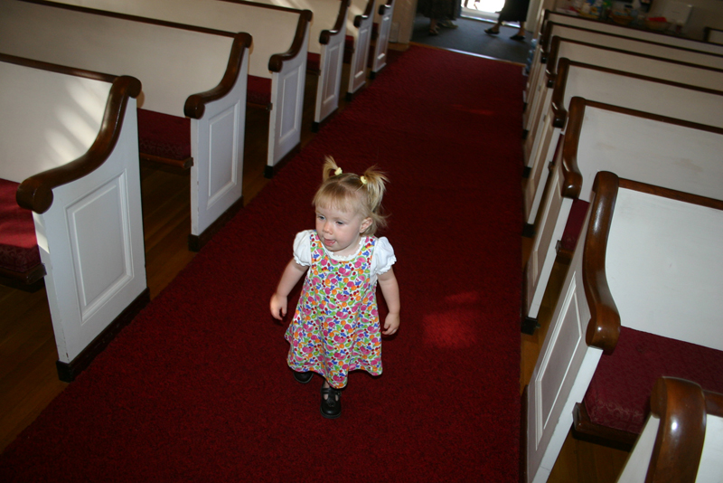 Picture 6582