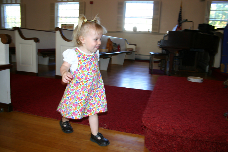 Picture 6584