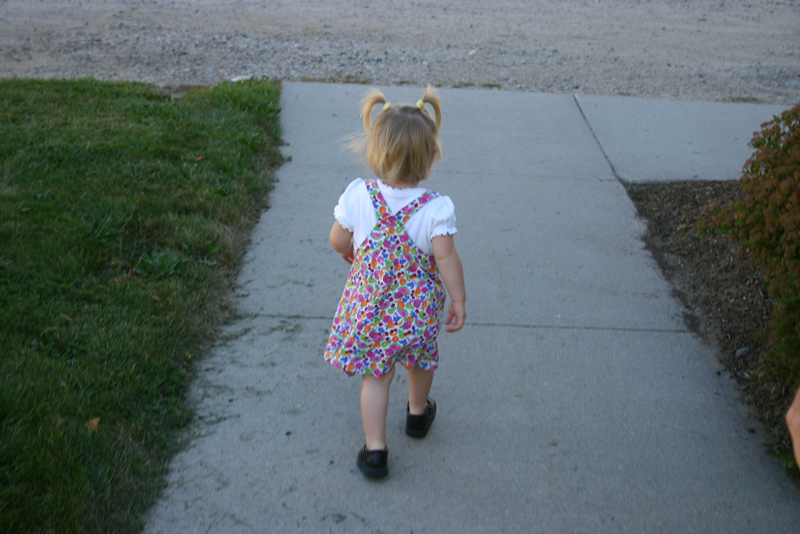 Picture 6592