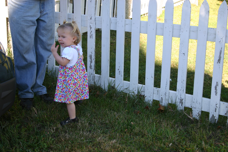 Picture 6594