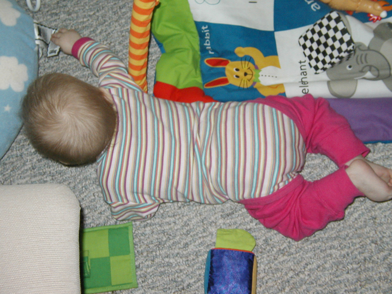 Picture 004