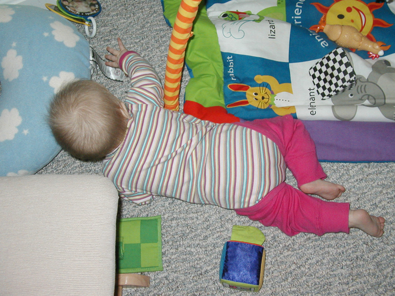 Picture 005