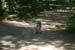 Picture 14681