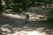 Picture 14682