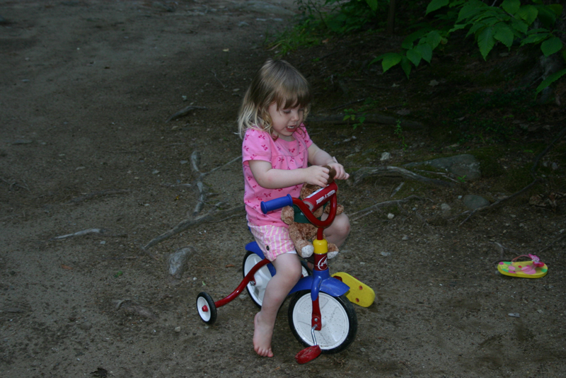 Picture 14339