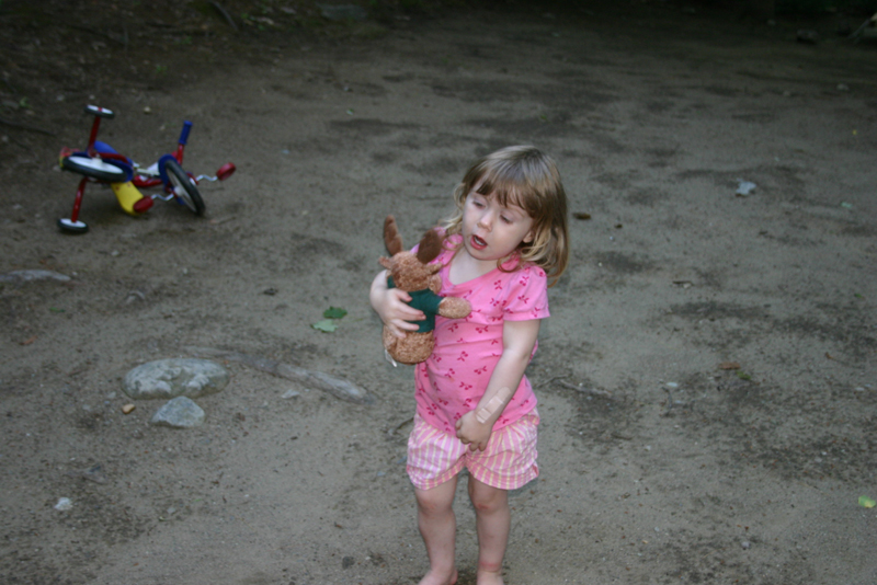 Picture 14453