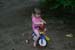 Picture 14339