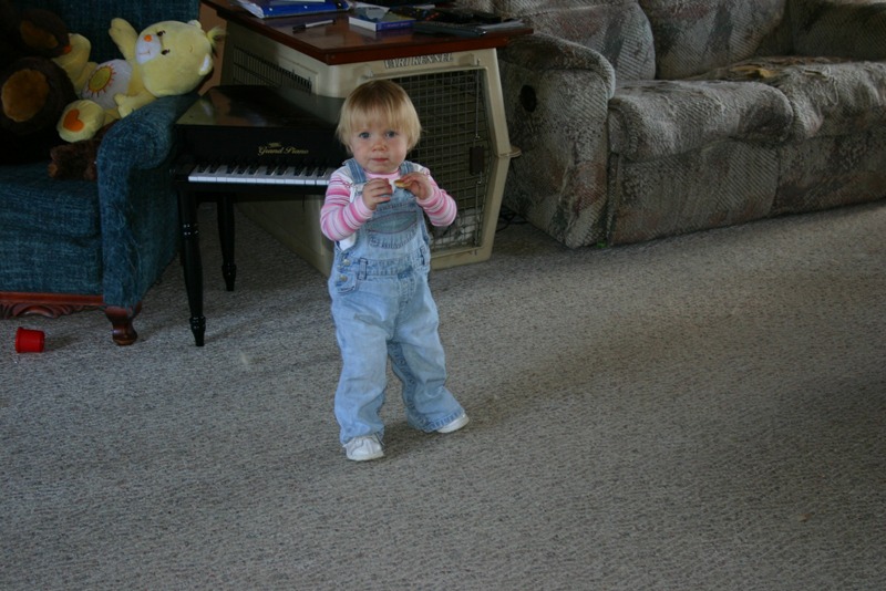 Picture 5741