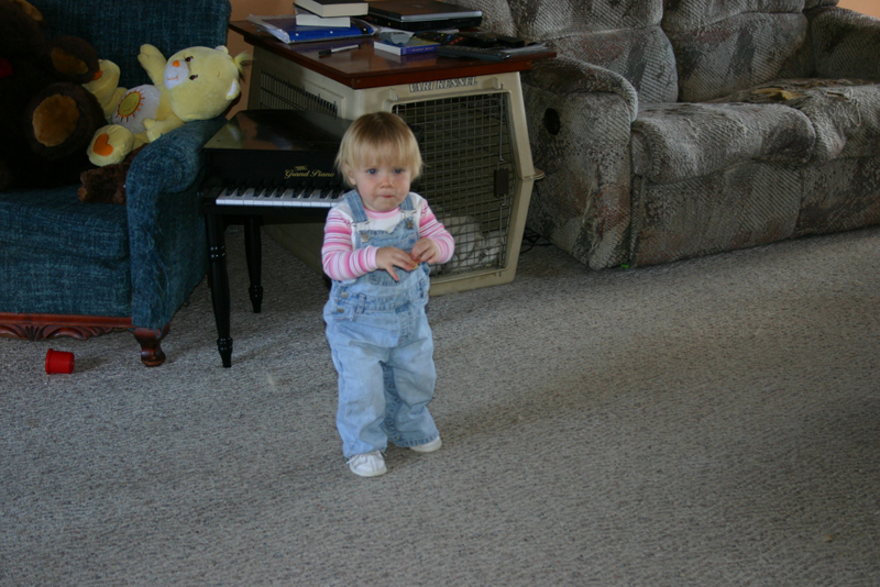 Picture 5742