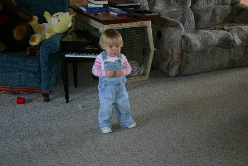 Picture 5743