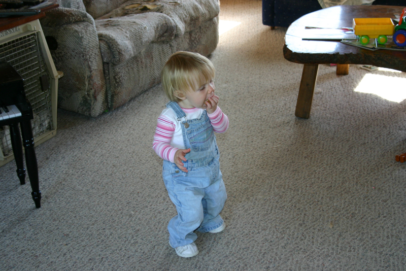 Picture 5745