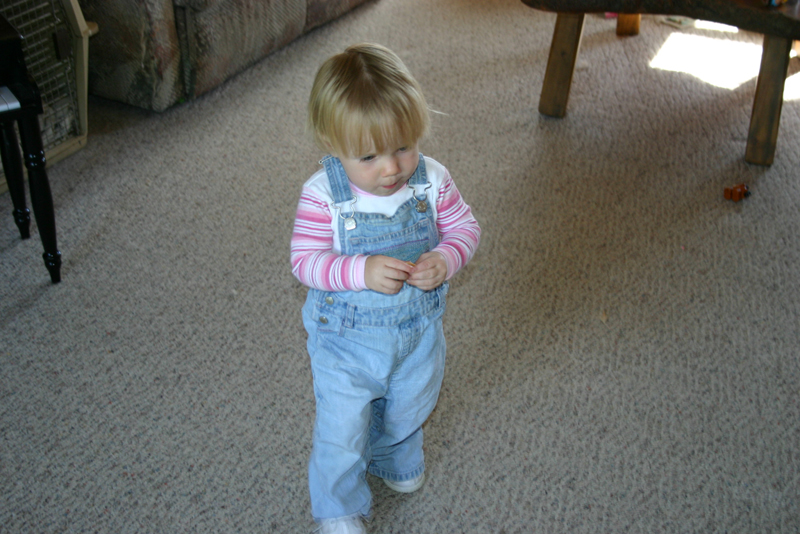 Picture 5747
