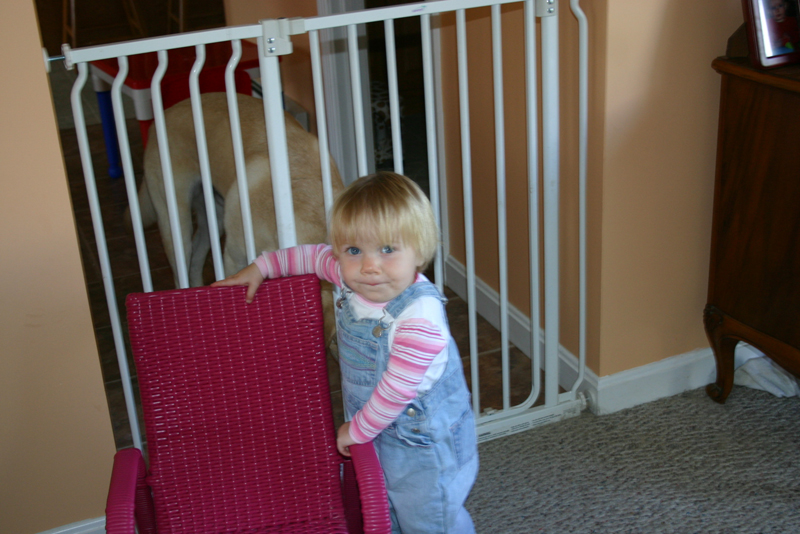 Picture 5748