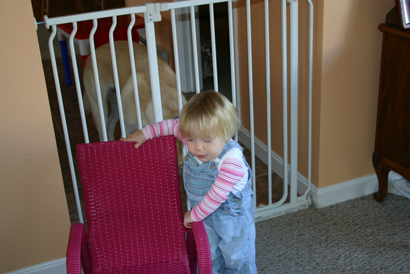 Picture 5749