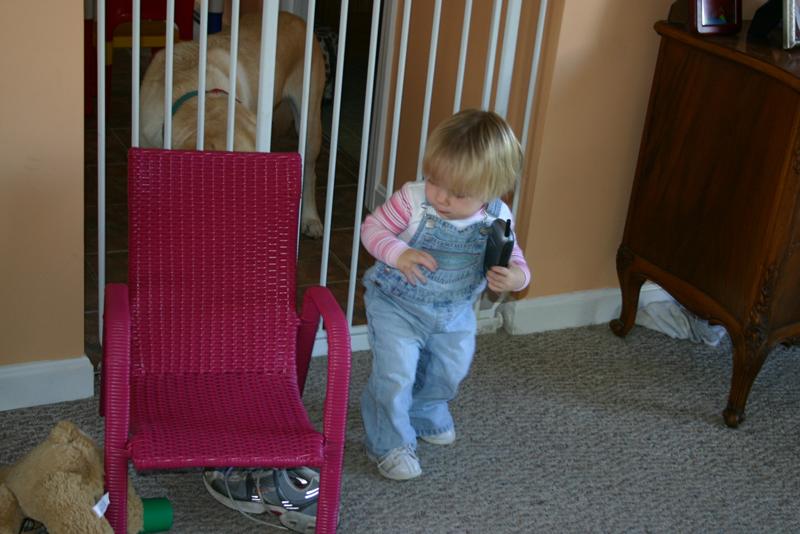 Picture 5751