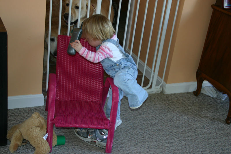 Picture 5752
