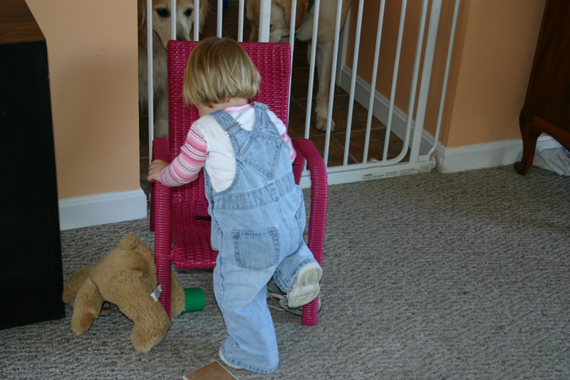 Picture 5753