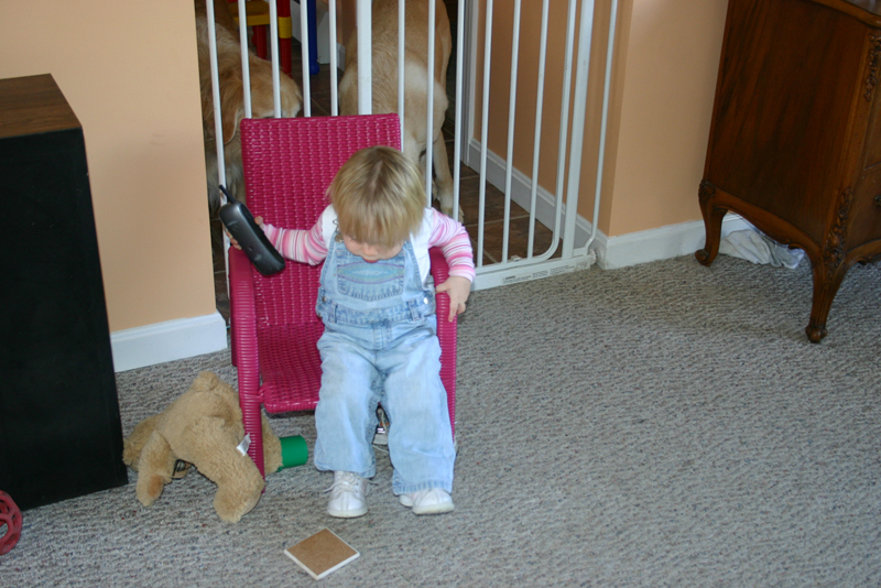 Picture 5754
