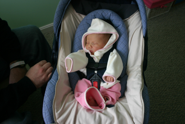 Picture 2949