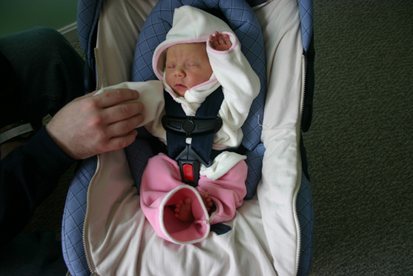 Picture 2955