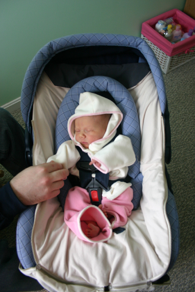 Picture 2956
