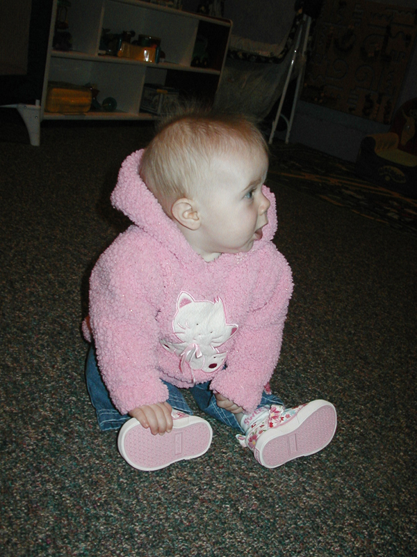 Picture 433