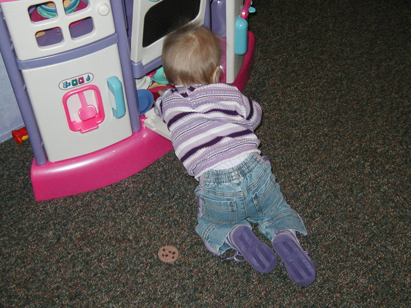 Picture 2358