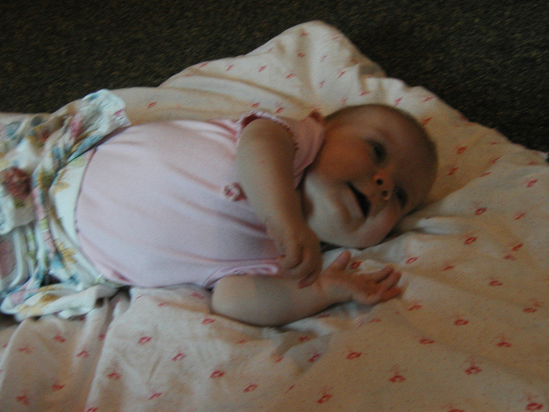 Picture 912