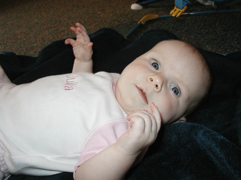 Picture 232