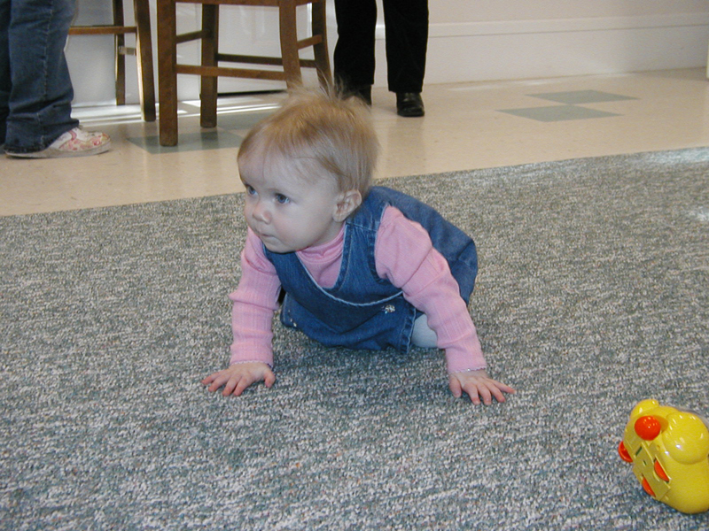 Picture 239