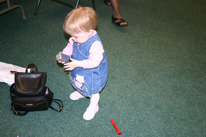 Picture 2453