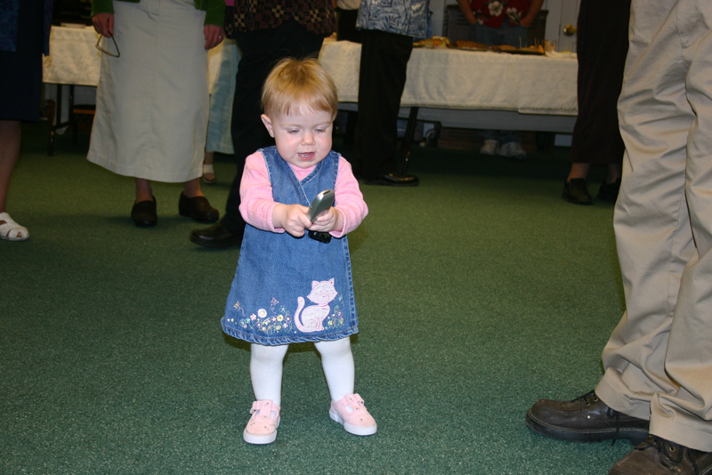 Picture 2477