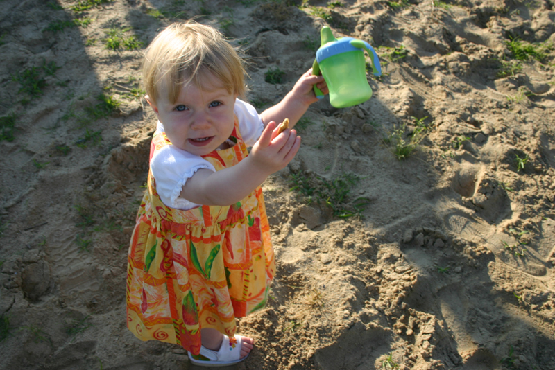 Picture 4615