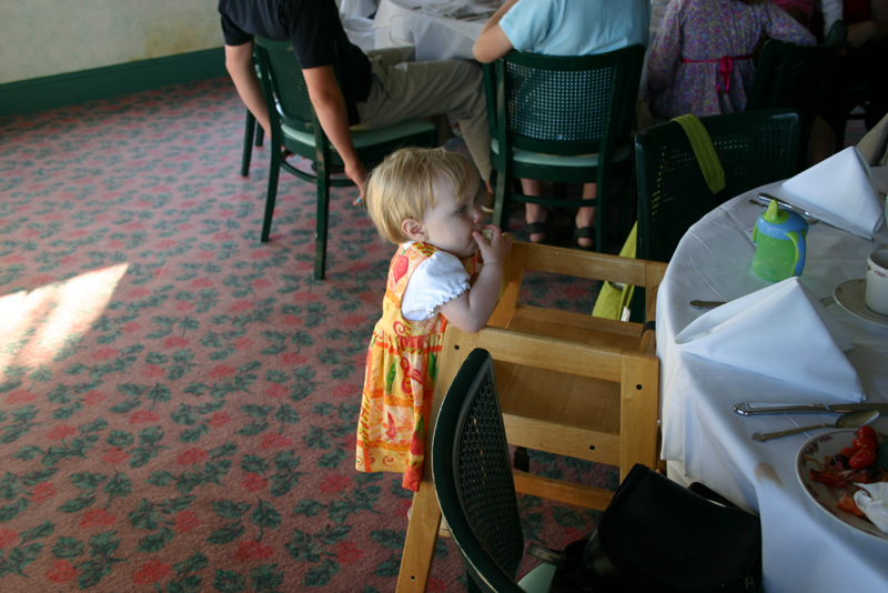 Picture 4617