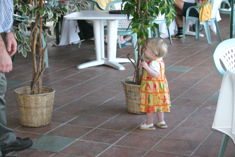 Picture 4677