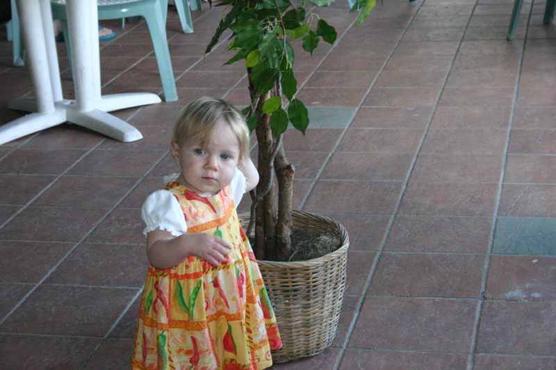 Picture 4678