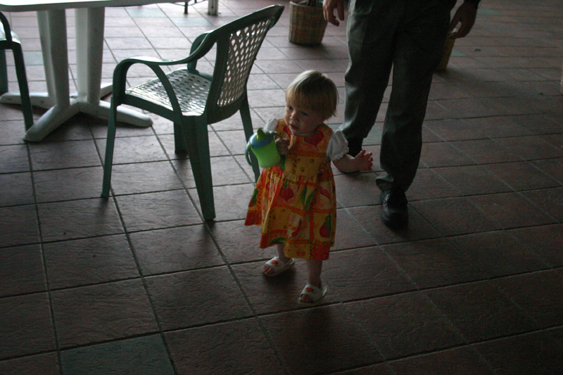 Picture 4687