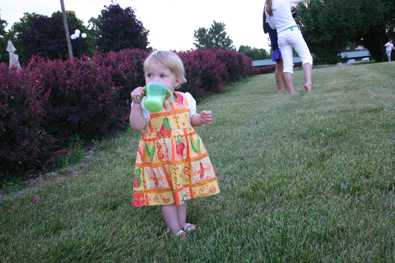 Picture 4695