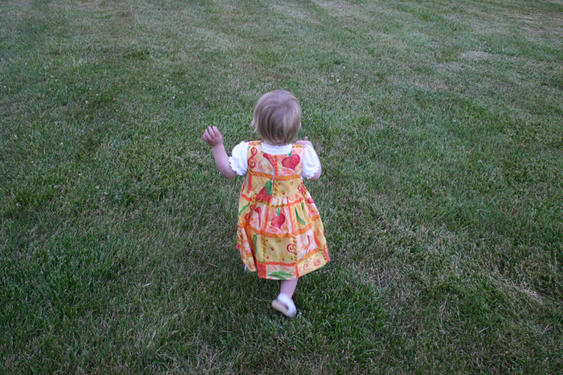 Picture 4697