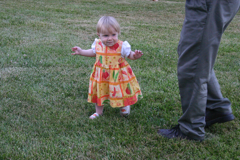 Picture 4698
