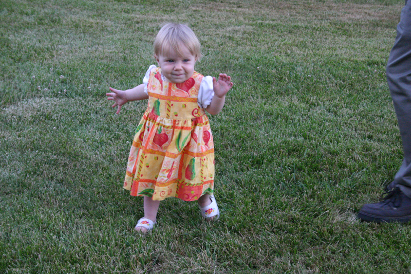 Picture 4699