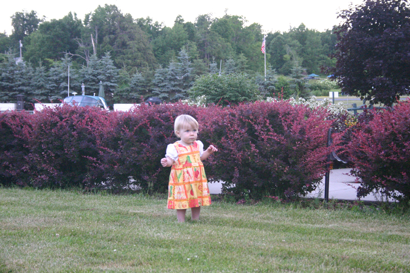 Picture 4709