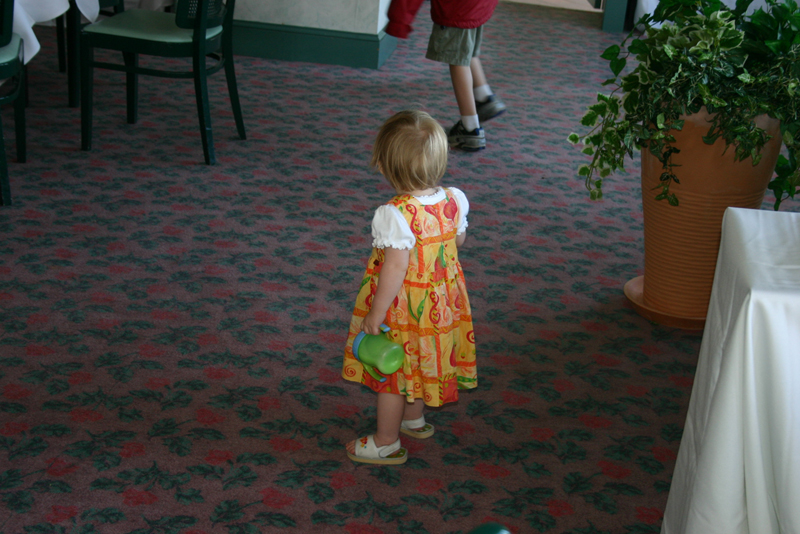 Picture 4763