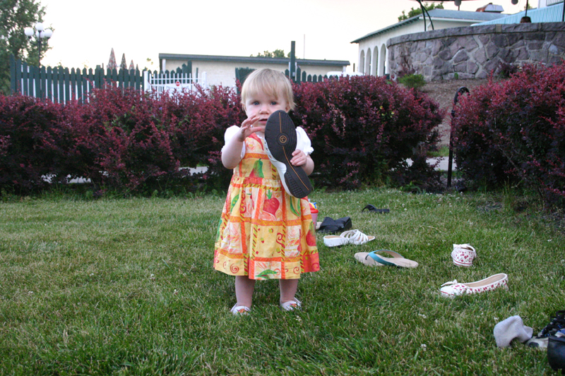 Picture 4786