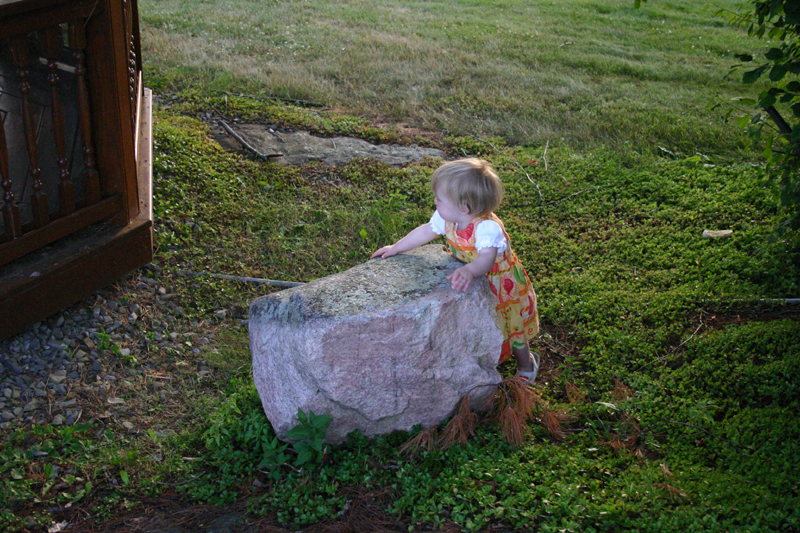 Picture 4789