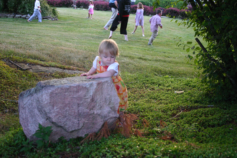 Picture 4791