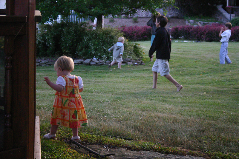 Picture 4794