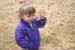 Picture 10791