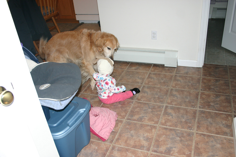 Picture 344